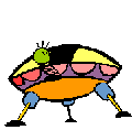 00283735.gif