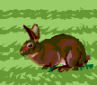 00365153.gif