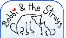 Bobbi_Strays_banner_nyreblog_com_.gif