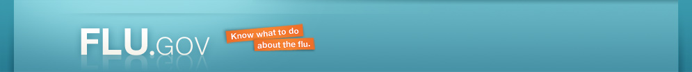 FLU.GOV_logo_nyreblog_com_.jpg