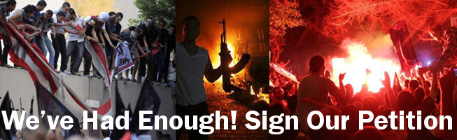 http://tool.donation-net.net/ACT4America/OpenLetterPetition.cfm?dn=1097&commID=110412428&ID=330339