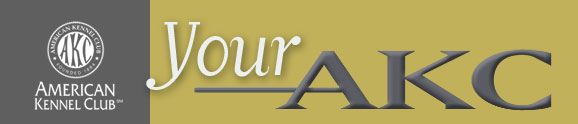 akc_banner_nyreblog_com_.jpg