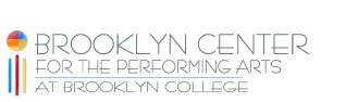 brooklyn_center_performing_arts_nyreblog_com_.jpg