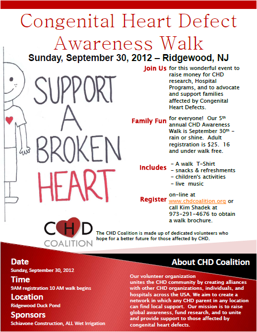 chd_coalition_0912_flyer_nyreblog_com_.png
