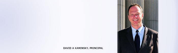 david_kaminsky_headshot_2012_nyreblog_com_.jpg