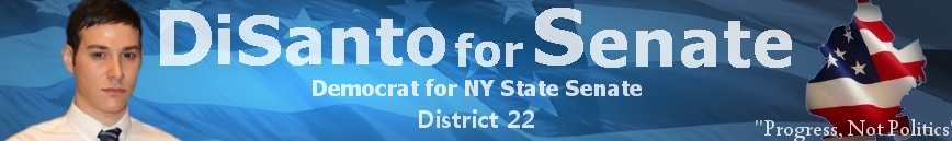 di_santo_senate_banner_nyreblog_com_.jpg