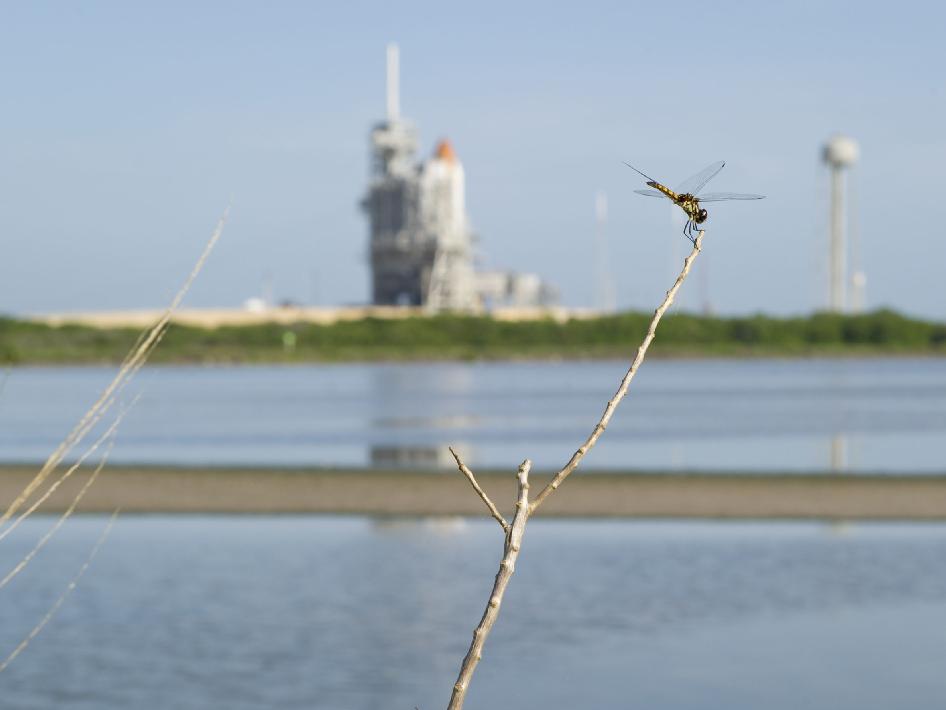 edgey_nasa_070711_photo_nyreblog_com_.jpg