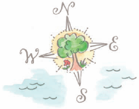 Gala Compass
