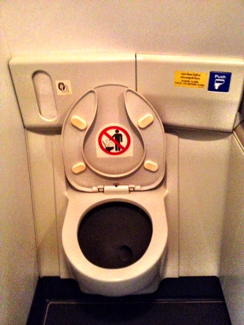 first_class_toilet_lucas_ferrara_all_rights_reserved_nyreblog_com.jpg