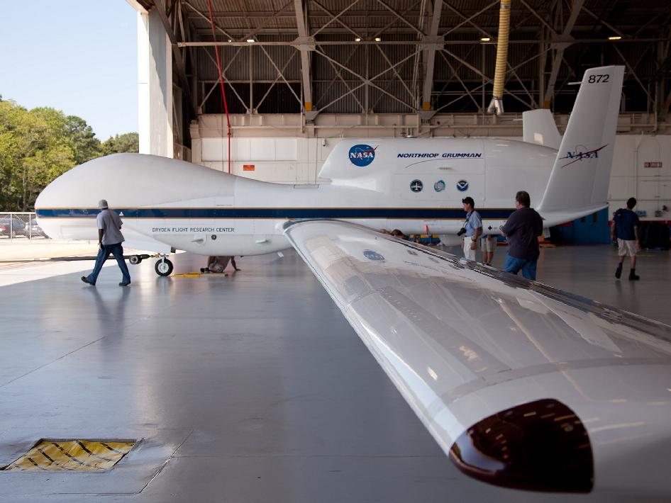 global_hawk_photo_0912_nyreblog_com_.jpg