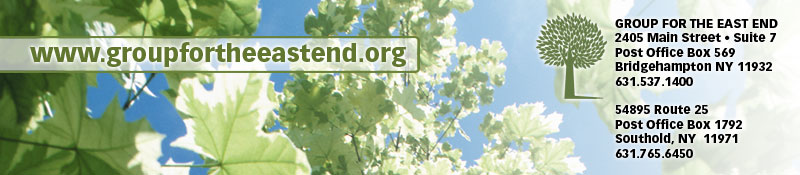 group_for_the_east_end_nyreblog_com_.jpg