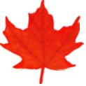 health_canada_logo_nyreblog_com_.png