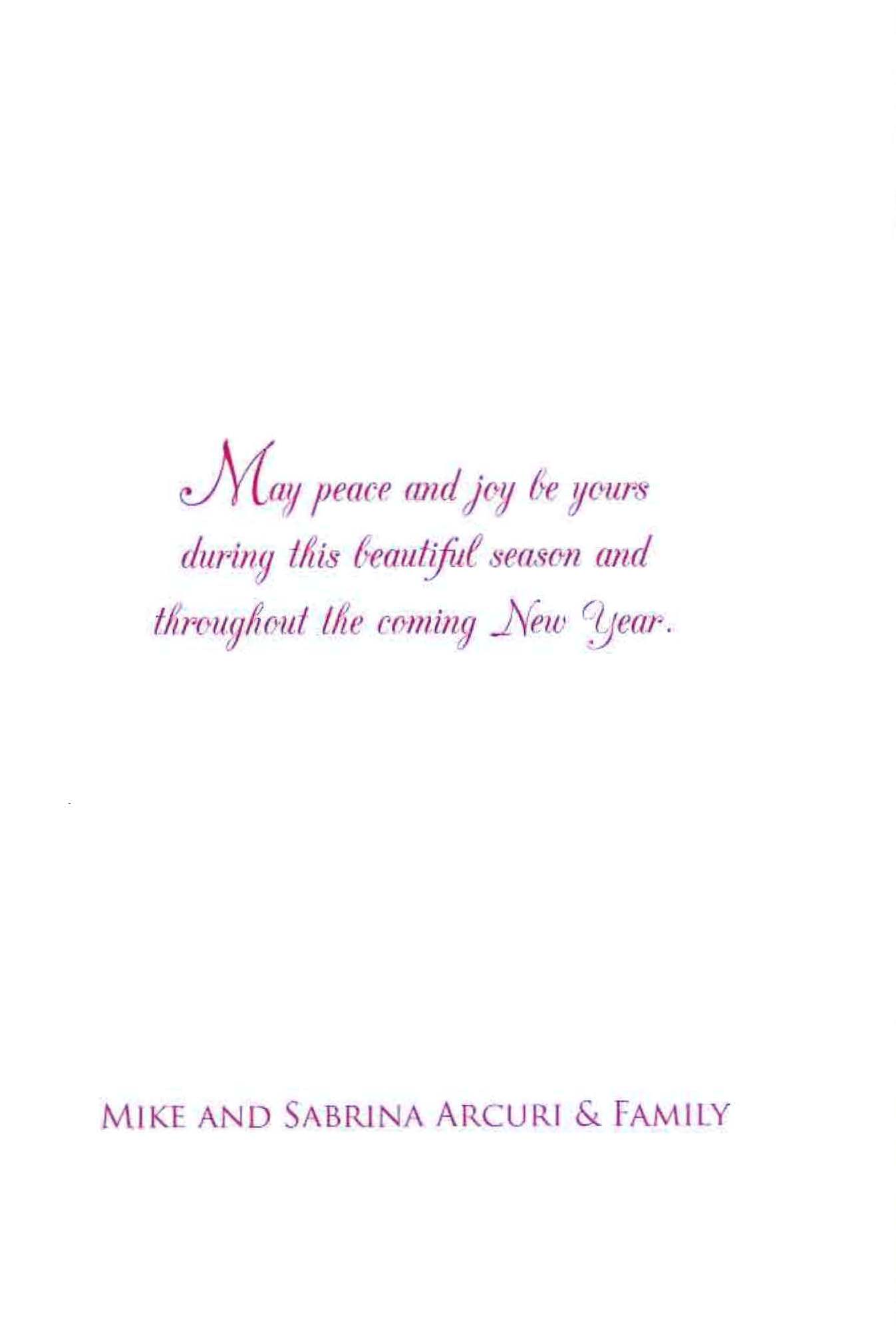 holiday_card_2008_acuri_nyreblog_com__Page_2.jpg