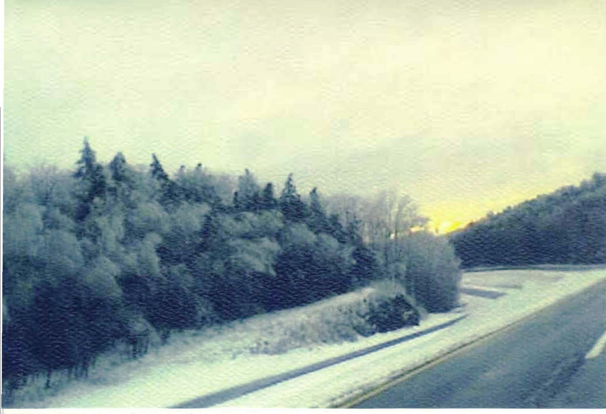holiday_card_2008_denny_farrell_nyreblog_com__Page_1.jpg