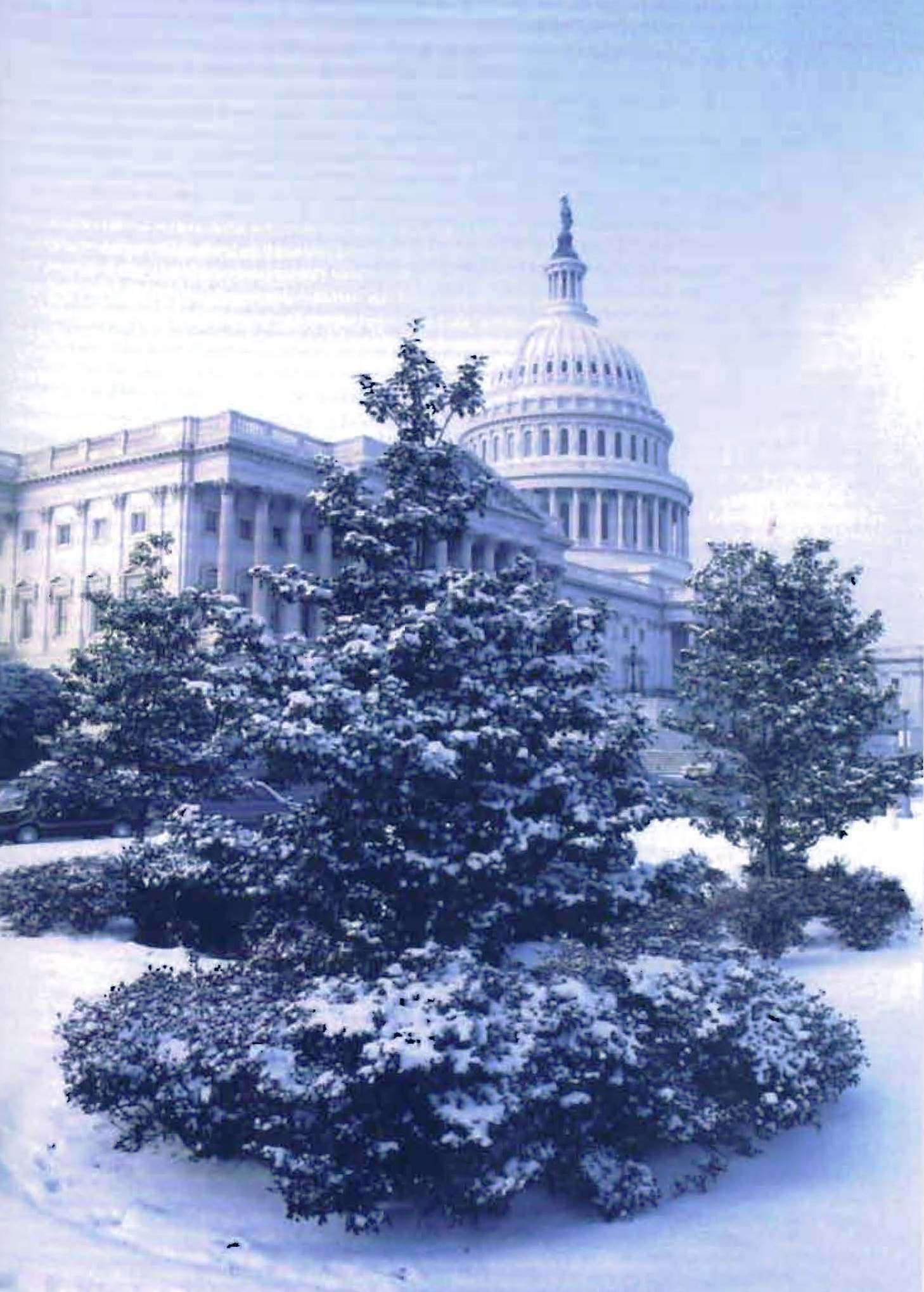 holiday_greetings_2009_nydia_velazquez_nyreblog_com__Page_2.jpg