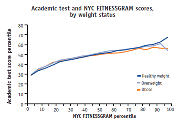 Academic test and NYC FITNESSGRAM scores