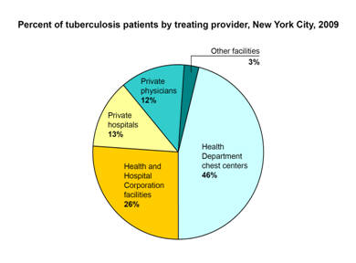 Percent of tuberculosis patients by treating provider