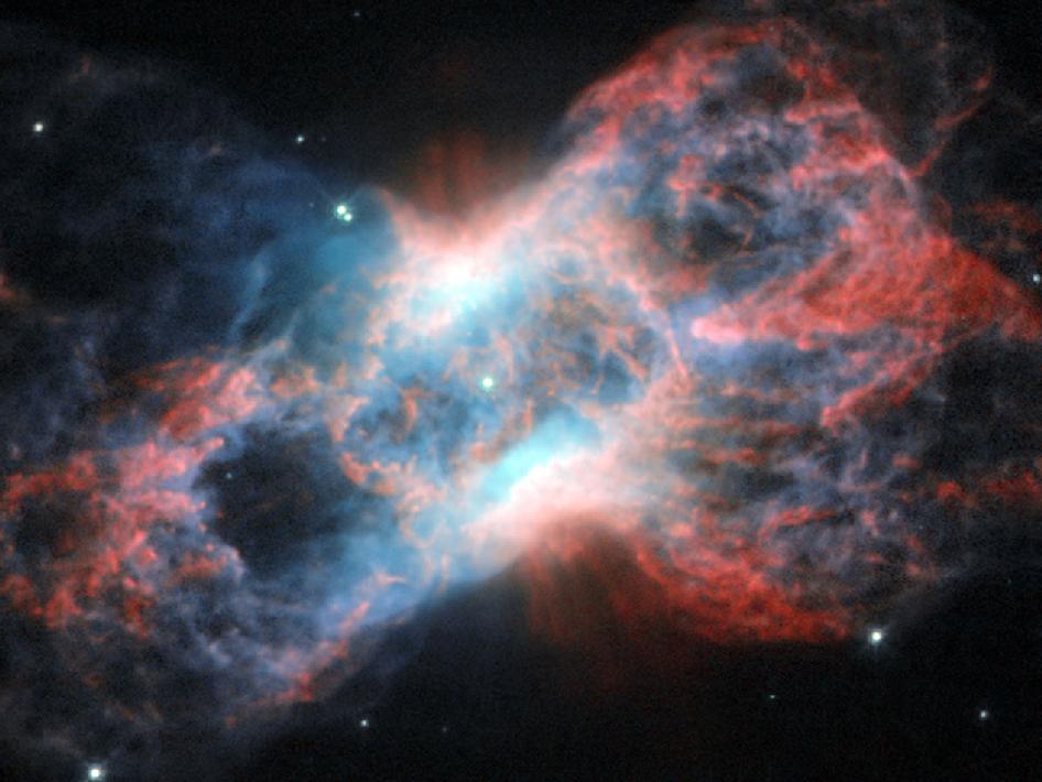 hubble_0612_swan_butterfly_nasa_nyreblog_com_.jpg