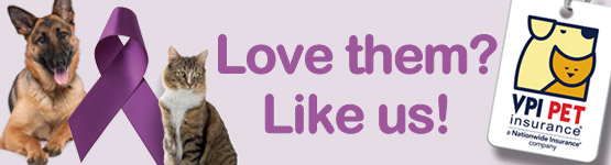 Love them? Like us!
