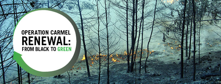 operation carmel renewal banner