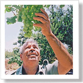 farmer-grapes.jpg