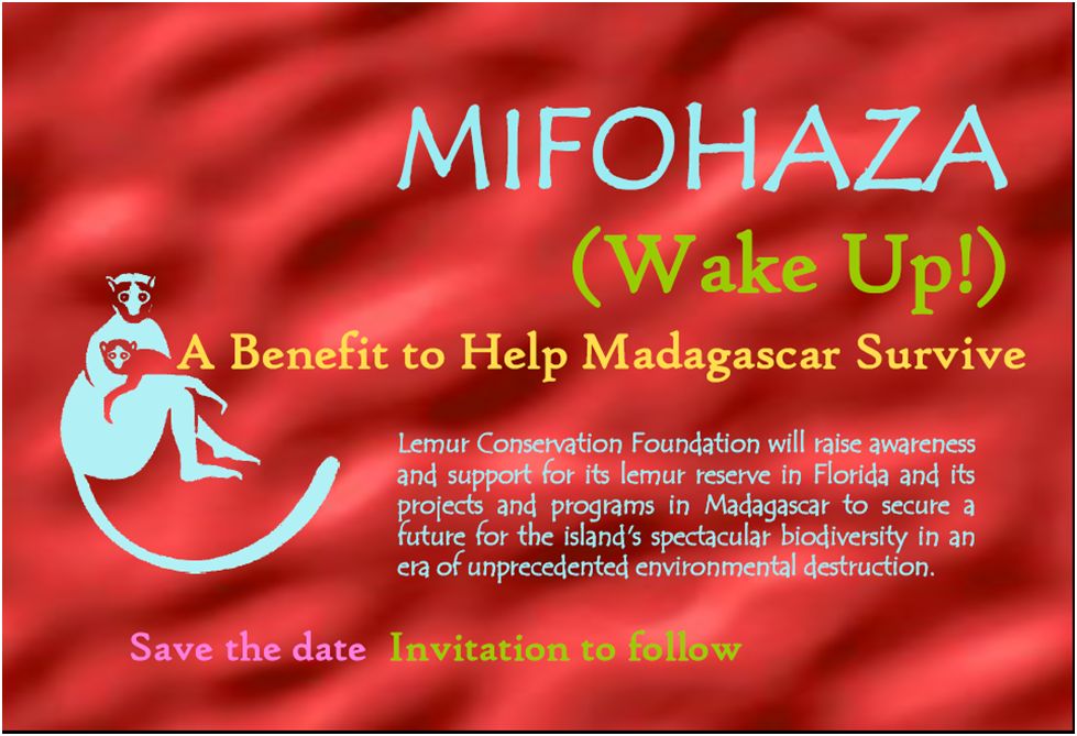 Mifohaza!