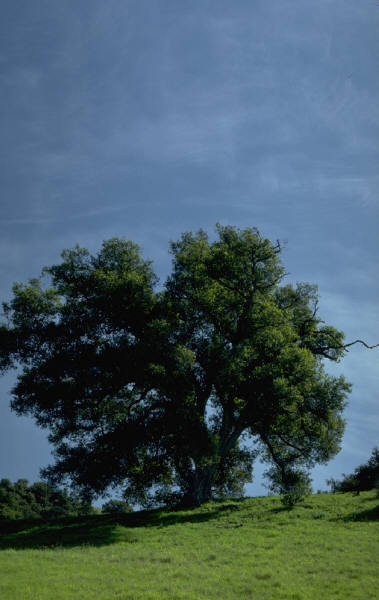 j0182390.jpg