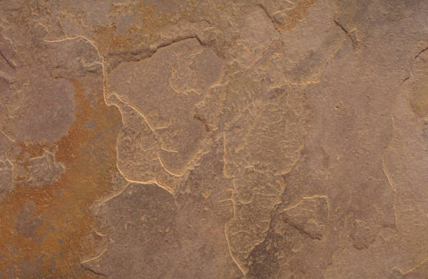 j0313723.jpg