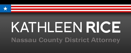 kathleen_rice_website_banner_nyreblog_com_.jpg