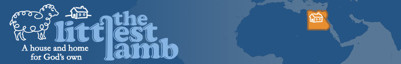 littlest_lamb_banner_nyreblog_com_.jpg