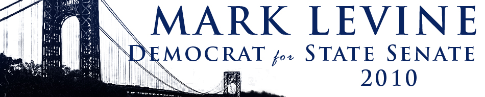 mark_levine_state_senate_2010_banner.jpg