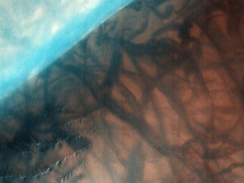 mars_scarred_tattooed_nasa_2010_nyreblog_com_.jpg