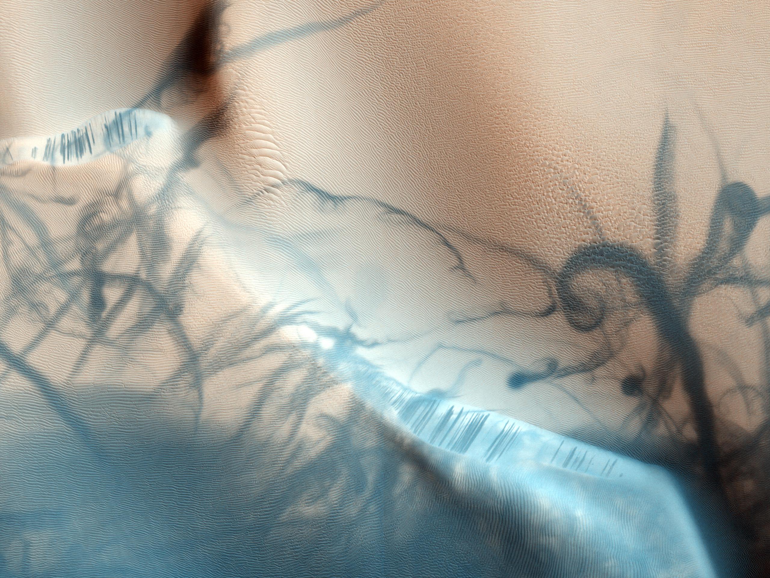 mars_tattooed_nasa_nyreblog_com_.jpg