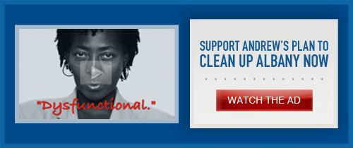 Clean Up Albany NOW
