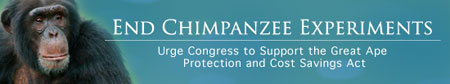 PCRM header