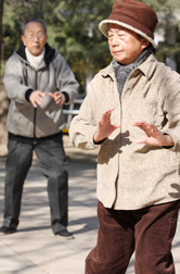 Senior couple doing tai chi