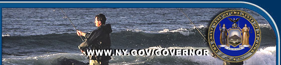 ny_governor_banner_nyreblog_com_.jpg