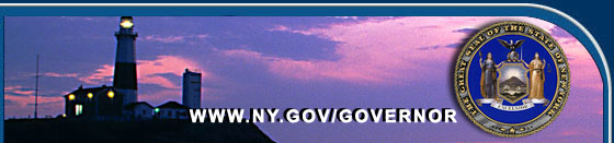 nys_governor_homepage_seal_nyreblog_com_.jpg