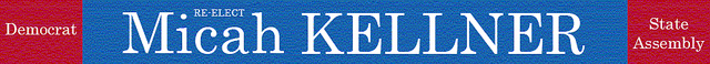 reelecting_micah_kellner_banner_2010_nyreblog_com_.jpg