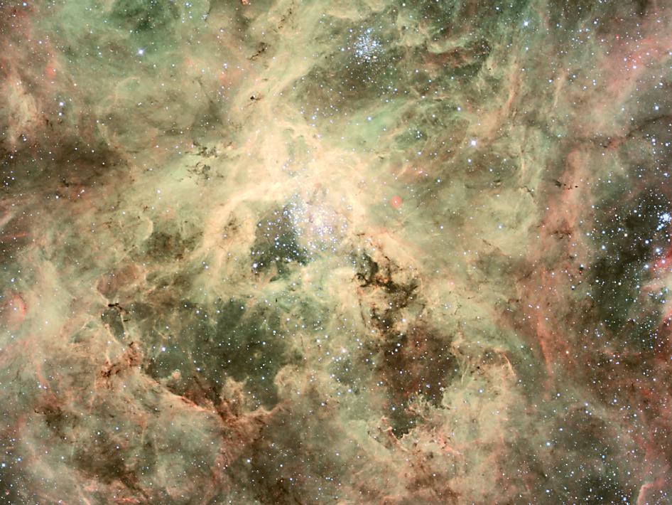 runaway_star_photo_nasa_2010_nyreblog_com_.jpg