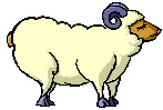 sheep_gif_nyreblog_com_.gif
