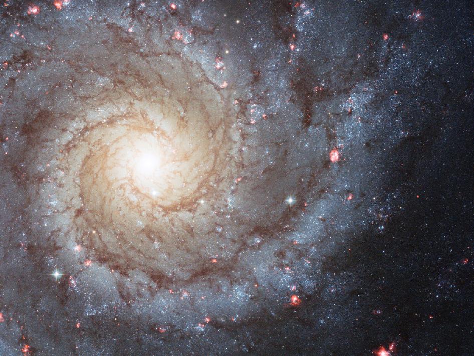 spiral_galaxy_nasa_2011_photo_nyreblog_com_.jpg