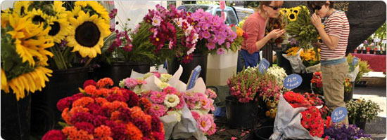 Flower Stand at a Farmer's Market