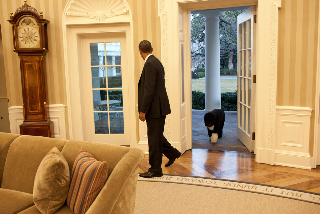 the_first_dog_bo_2012_nyreblog_com_.jpg