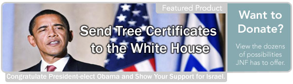 trees_obama_jnf_nyreblog_com_.jpg