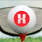 united_hebrew_golf_tournament_2009_nyreblog_com_.jpg