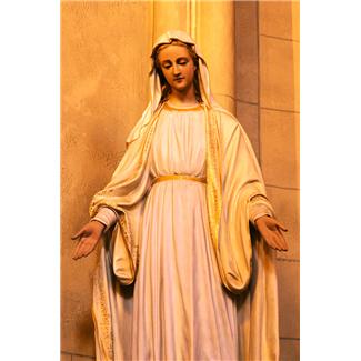 virgin_mary_statue_photo_nyreblog_com_.jpg