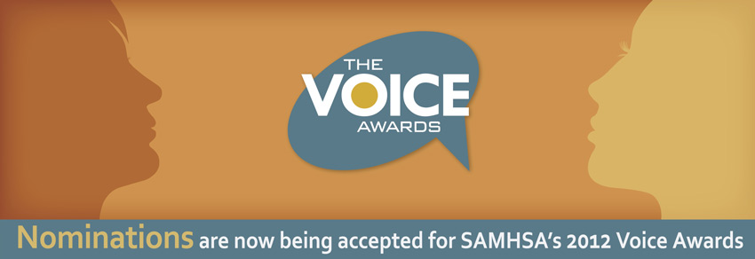voice_awards_banner_nyreblog_com_.jpg