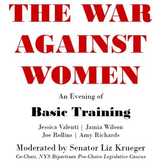women_at_war_liz_krueger_0412_nyreblog_com_.jpg
